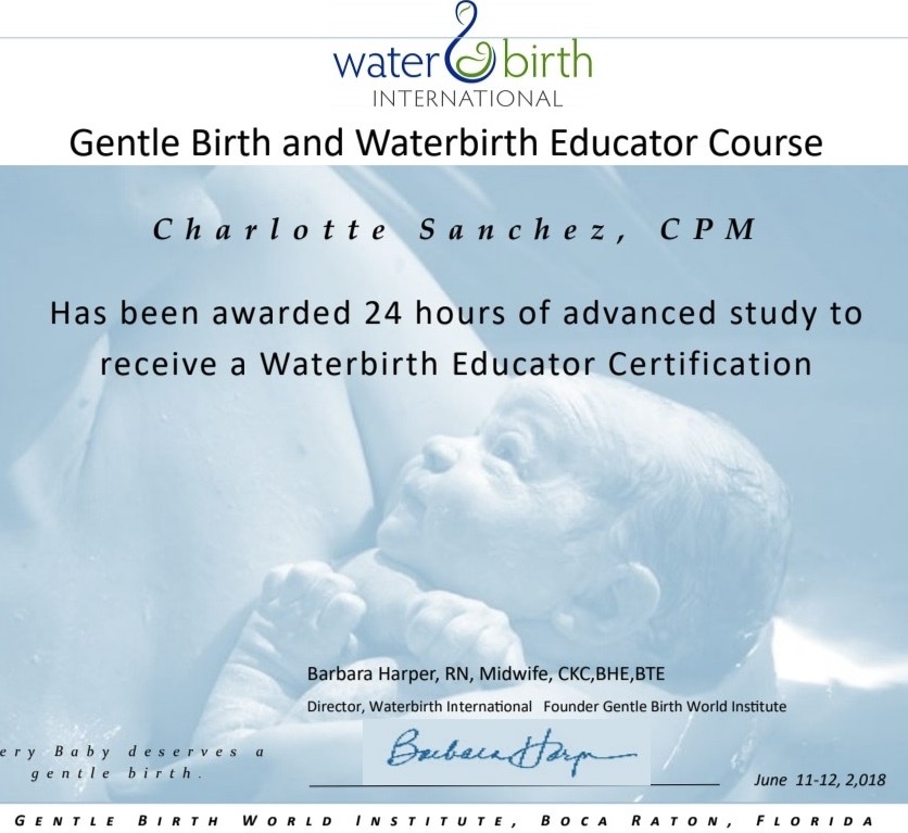 Water Birth Near Me Top Holistic Midwife SafeAffordable